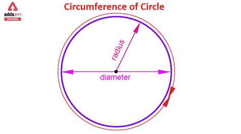 cicle meaning